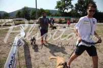 2 Esposizione canina 29.6.2014 Pico - IMG_3965